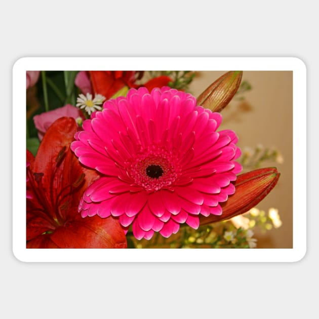 Pink Gerbera Sticker by RedHillDigital